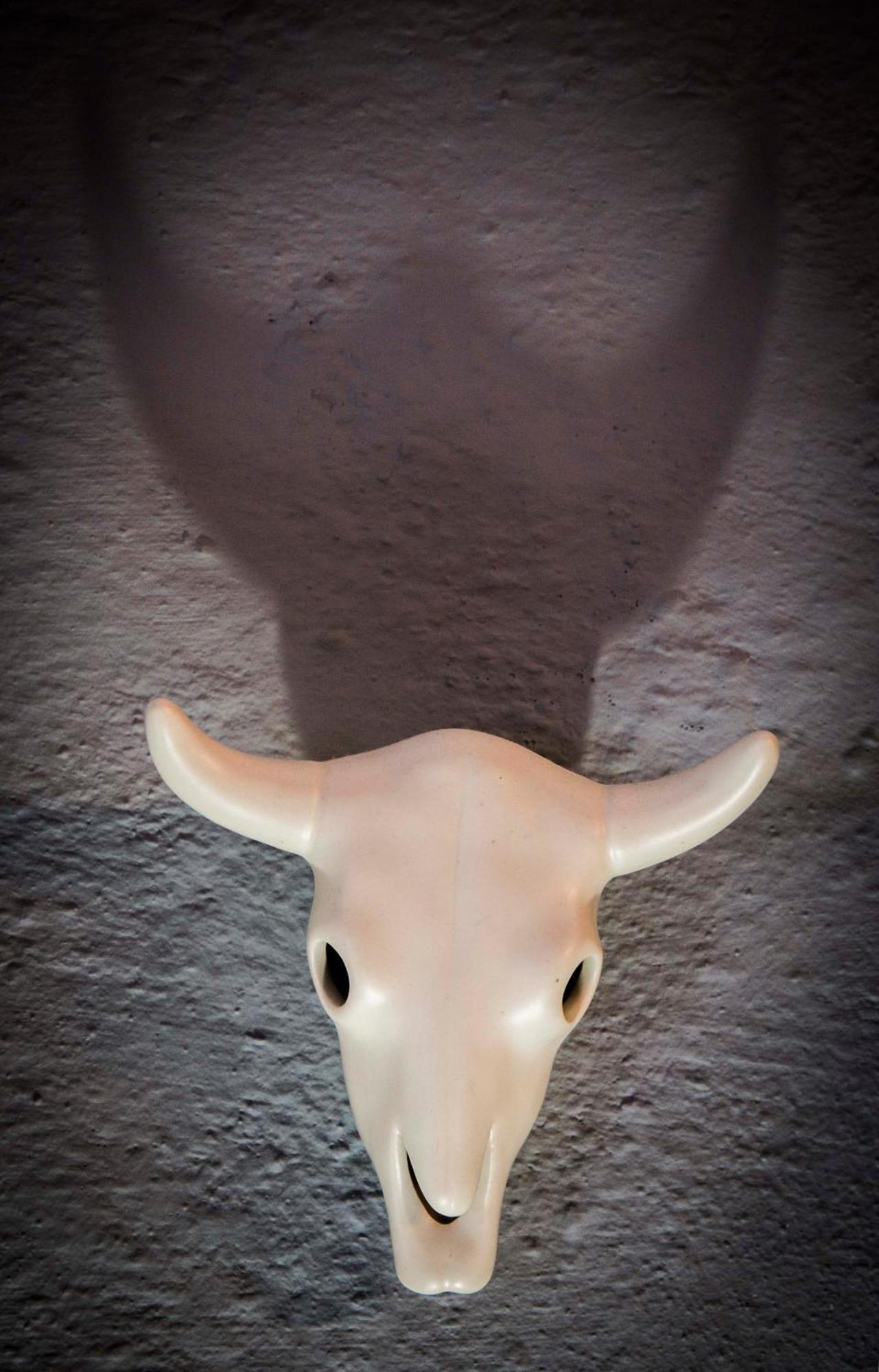 Somerset Stables Graaff-Reinet Oda fotoğraf